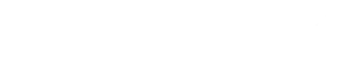 SERVICE-CHECK